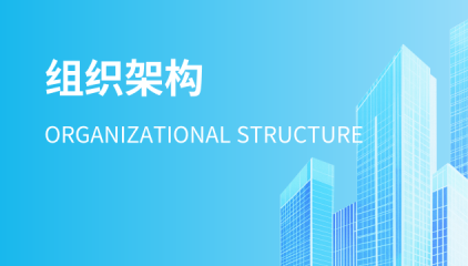 组织架构